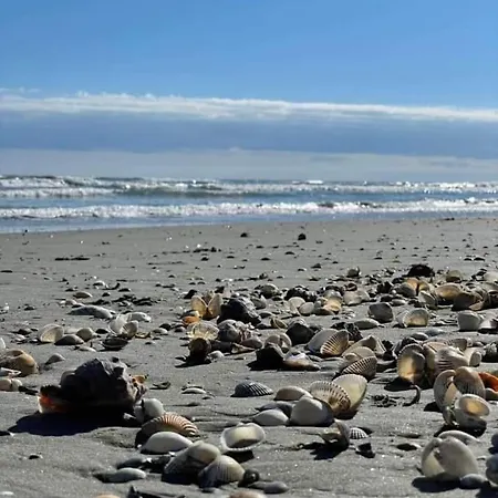 Apartment Beautiful Apartaments Andrada & Ariana 2 Camere