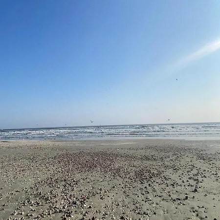 Apartment Beautiful Apartaments Andrada & Ariana 2 Camere