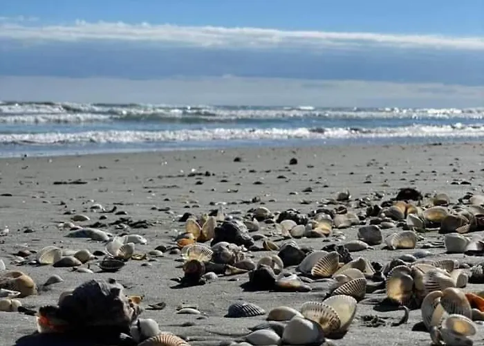 Apartment Beautiful Apartaments Andrada & Ariana 2 Camere