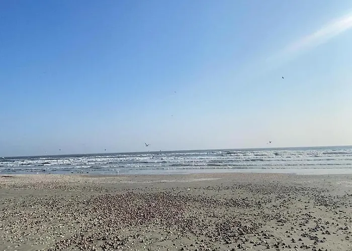 Apartment Beautiful Apartaments Andrada & Ariana 2 Camere